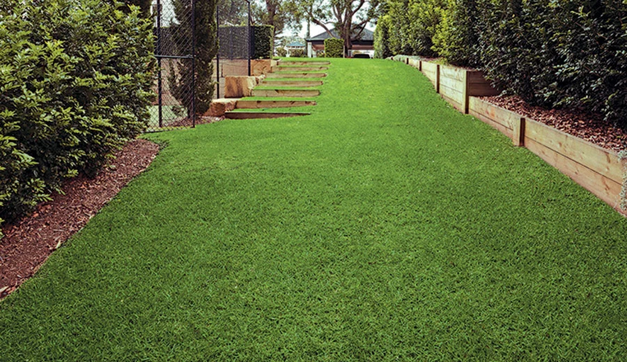 kenda-kikuyu-turf-image10