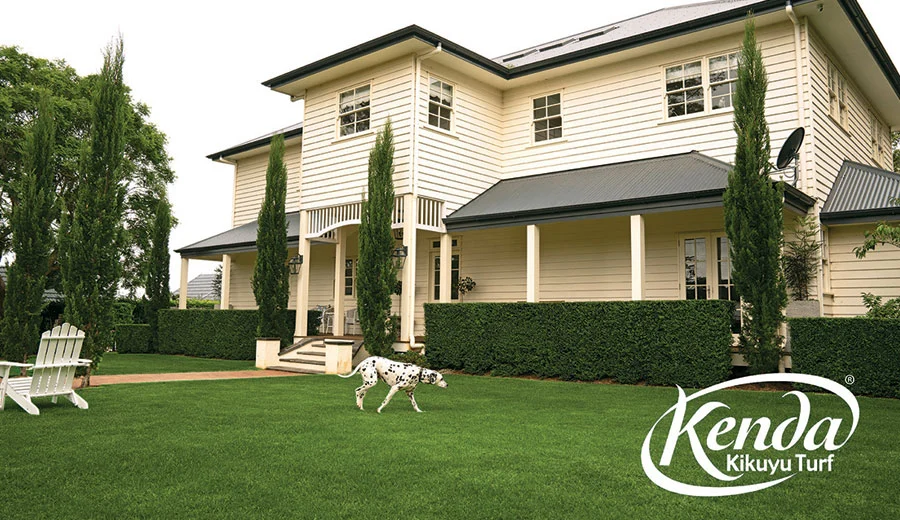 kenda-kikuyu-turf-image3
