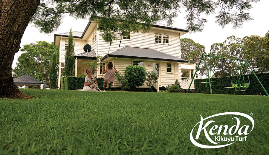 kenda-kikuyu-turf-image4