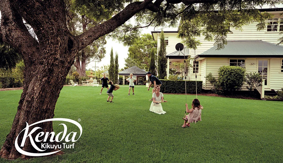 kenda-kikuyu-turf-image5