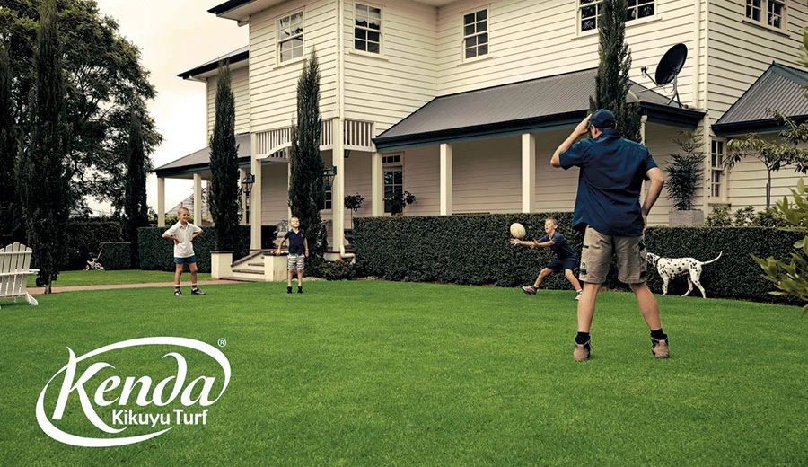 kenda-kikuyu-turf-image6