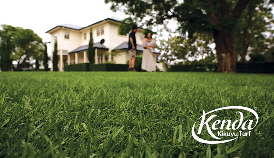 kenda-kikuyu-turf-image8